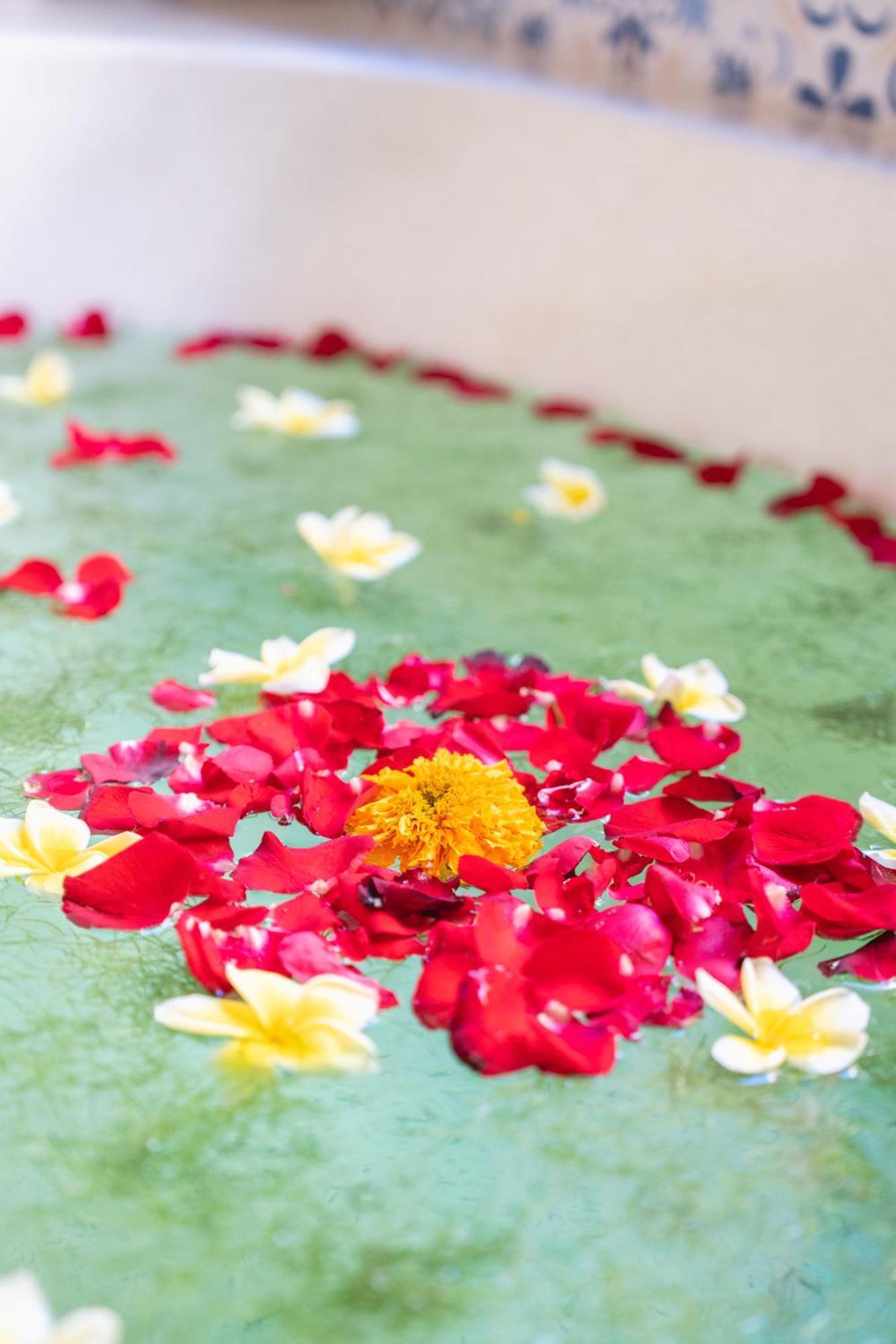 The Compass Rose Ubud 외부 사진